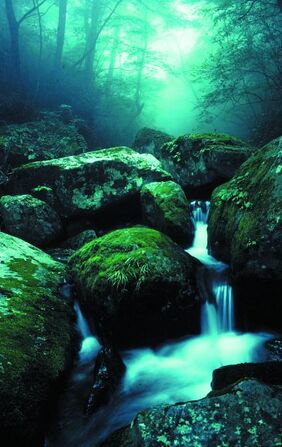 Swamp of despair stream