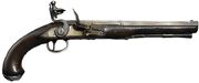Pirategun