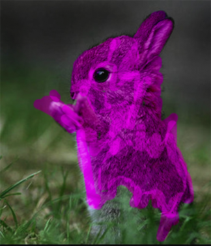 Bunny of Death