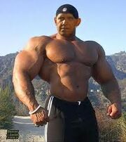 Jumbo bob