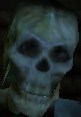 One of the Undead Stalker skull