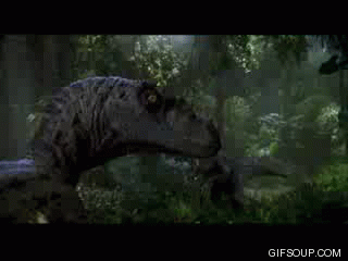 Raptor State