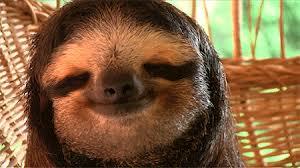 Slothmallace