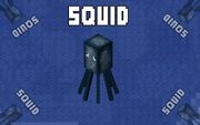 Squid2