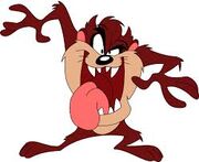 Taz