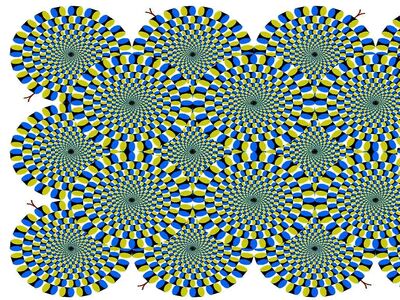 Opticil2