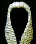 White wig