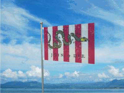 Co. Sons of Liberty flag