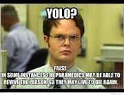 YOLO