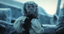 Jack-the-monkey-67652