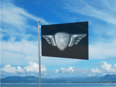 C.A. Spies flag