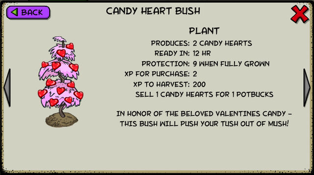 File:Candy heart bush.jpeg