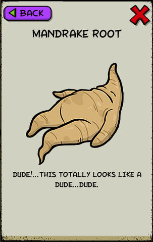 File:Mandrake root.jpeg