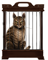 Tabby-cat-lrg