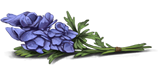 Wolfsbane-lrg