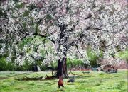 Pear-Tree-image