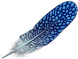 Jobberknoll-feather-lrg