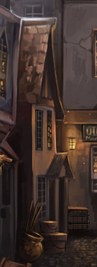 The Junk Shop