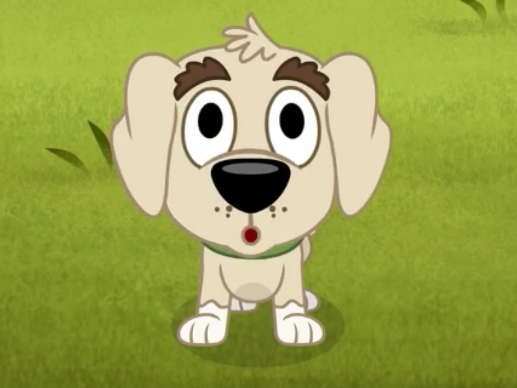 Corky Pound Puppies 2010 Wiki FANDOM powered by Wikia