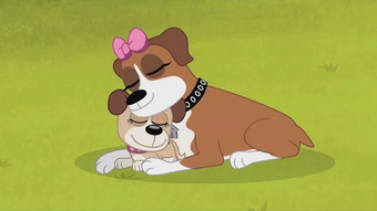 pound puppies cookie