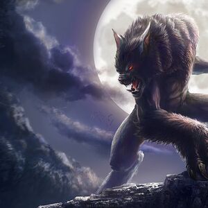 Werewolf Physiology Superpower Wiki Fandom