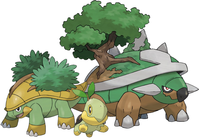 tortoise physiology superpower wiki fandom powered by wikia torkoal evolution chart