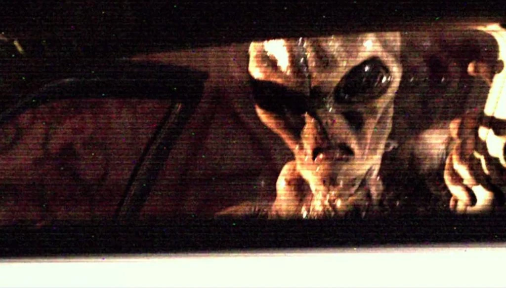 2014 Alien Abduction