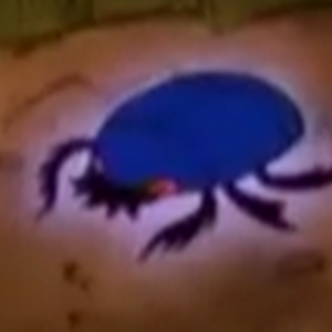 roblox knightfall spider king Healing Superpower Wiki Fandom