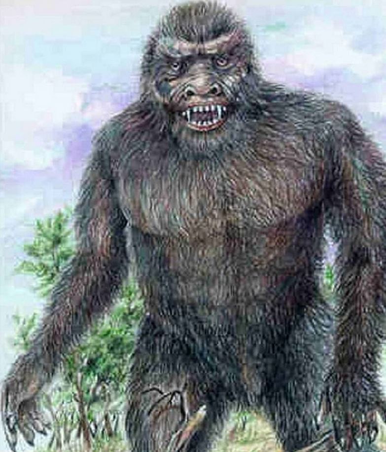 Yowie Physiology | Superpower Wiki | Fandom