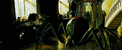 Image result for spider skates gif