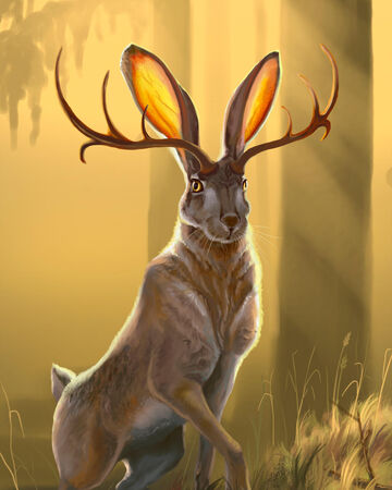 Jackalope Physiology Superpower Wiki Fandom