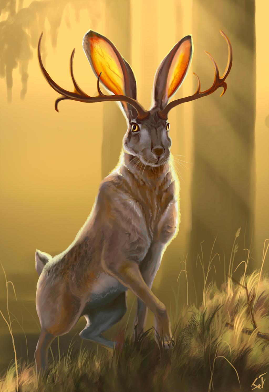 Jackalope Physiology Superpower Wiki Fandom