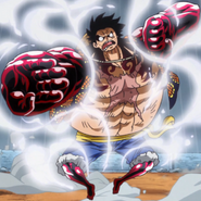 One piece d One piece d