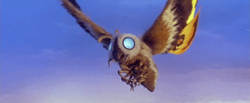 https://vignette.wikia.nocookie.net/powerlisting/images/a/a9/Mothra_-_Unleashed.gif/revision/latest?cb=20181112164431