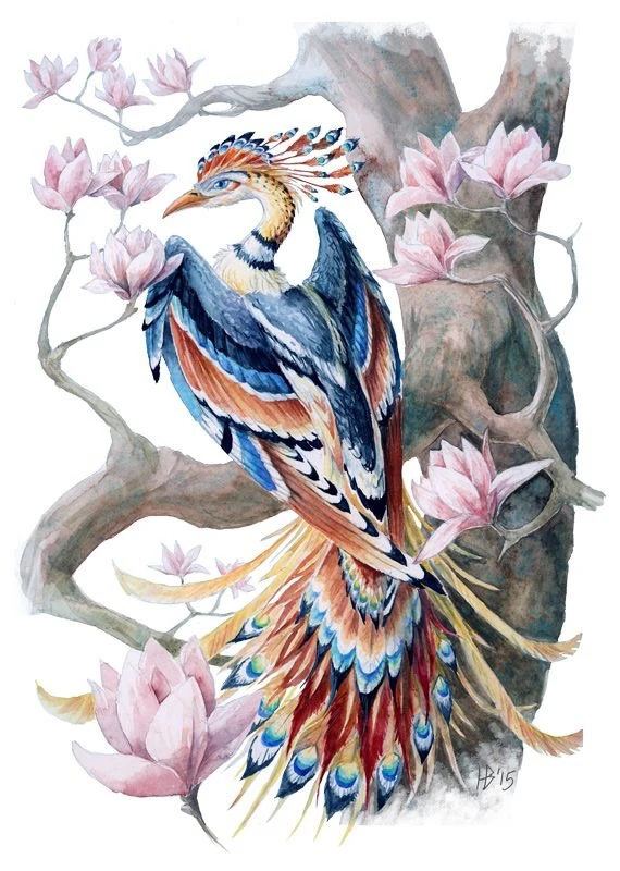 Image result for the anqa