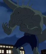 Gray runner Gray runner