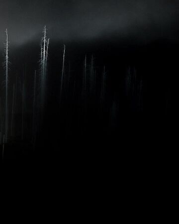 Primordial Darkness Manipulation Superpower Wiki Fandom
