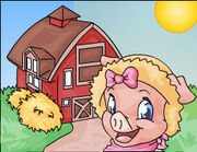SwapBarn
