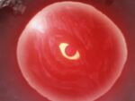 Eye of the Master