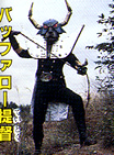 Admiral Buffalo