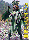 Pineapple Mask