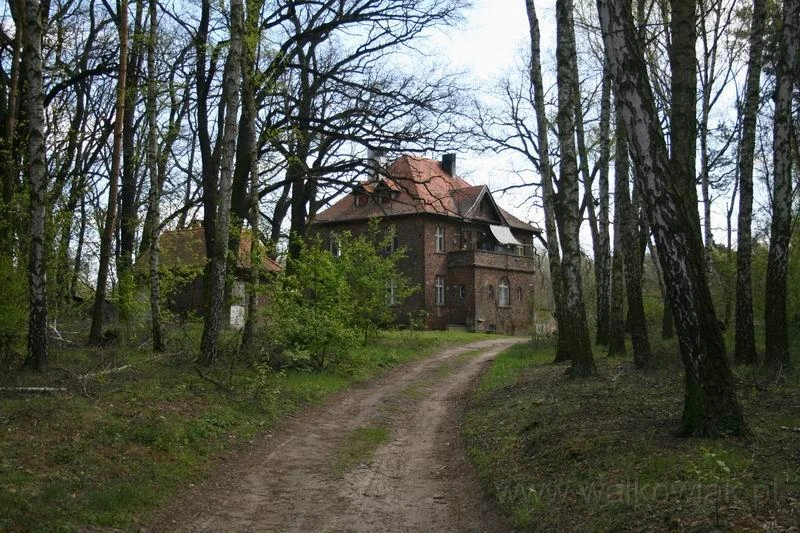 Kobylepole Poznańska Wiki FANDOM powered by Wikia