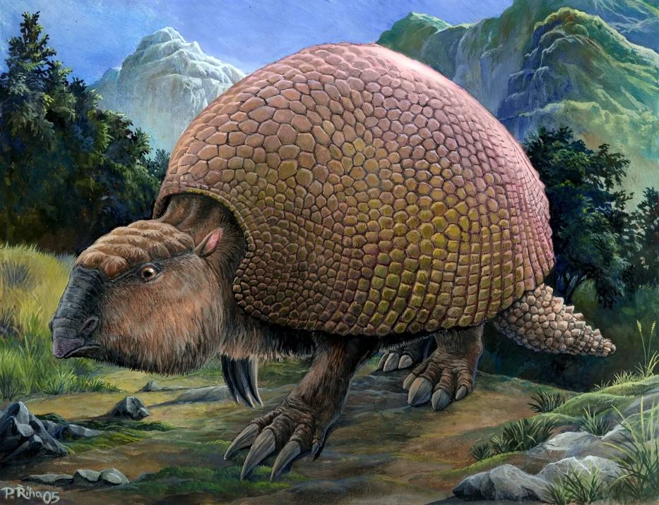 Glyptodon Prähistorische Lebewesen und Erdzeitalter Wiki Fandom