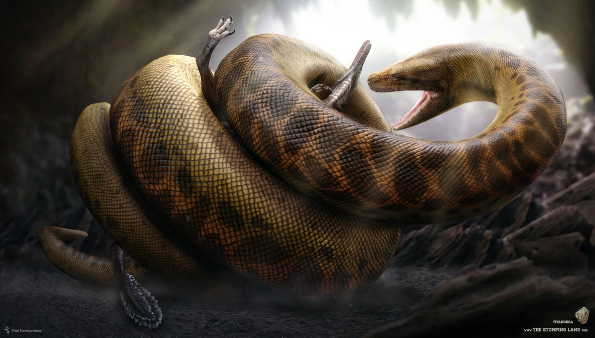 Titanoboa Prähistorische Lebewesen und Erdzeitalter Wiki Fandom