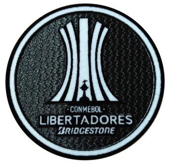 CONMEBOL LIBERTADORES BRIDGESTONE 2021 | Predicciones de ...