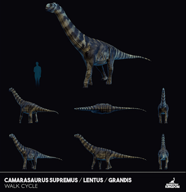 amarasaurus prehistoric kingdom amarasaurus prehistoric kingdom