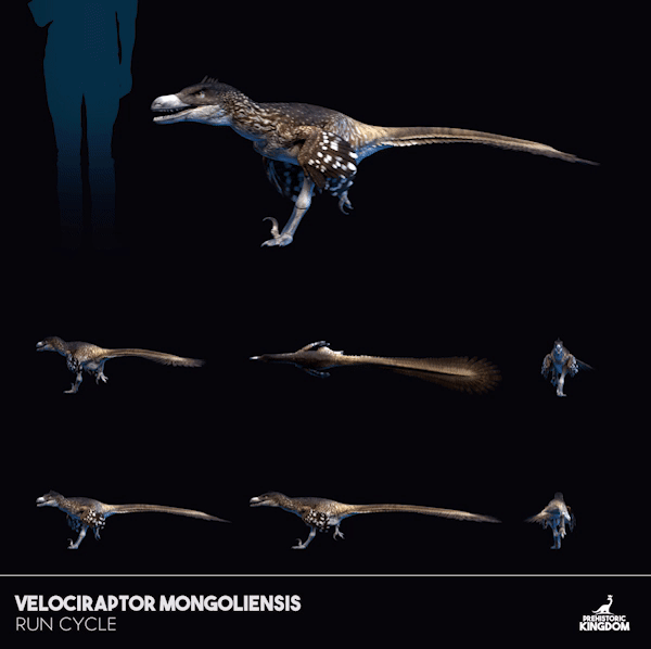 velociraptor prehistoric kingdom