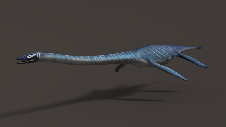 elasmosaurus prehistoric ocean creatures