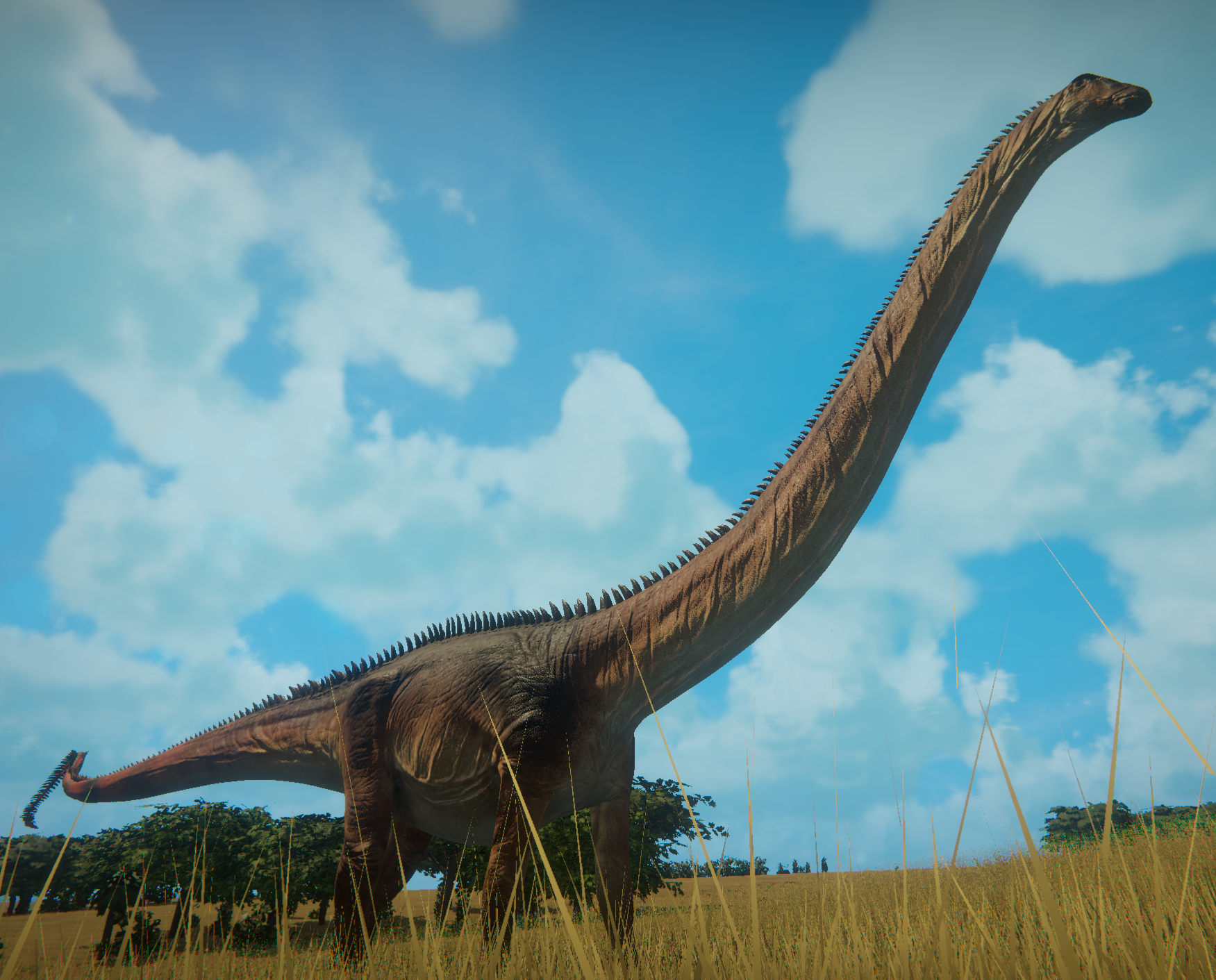 a diplodocus