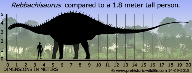 rebbachisaurus